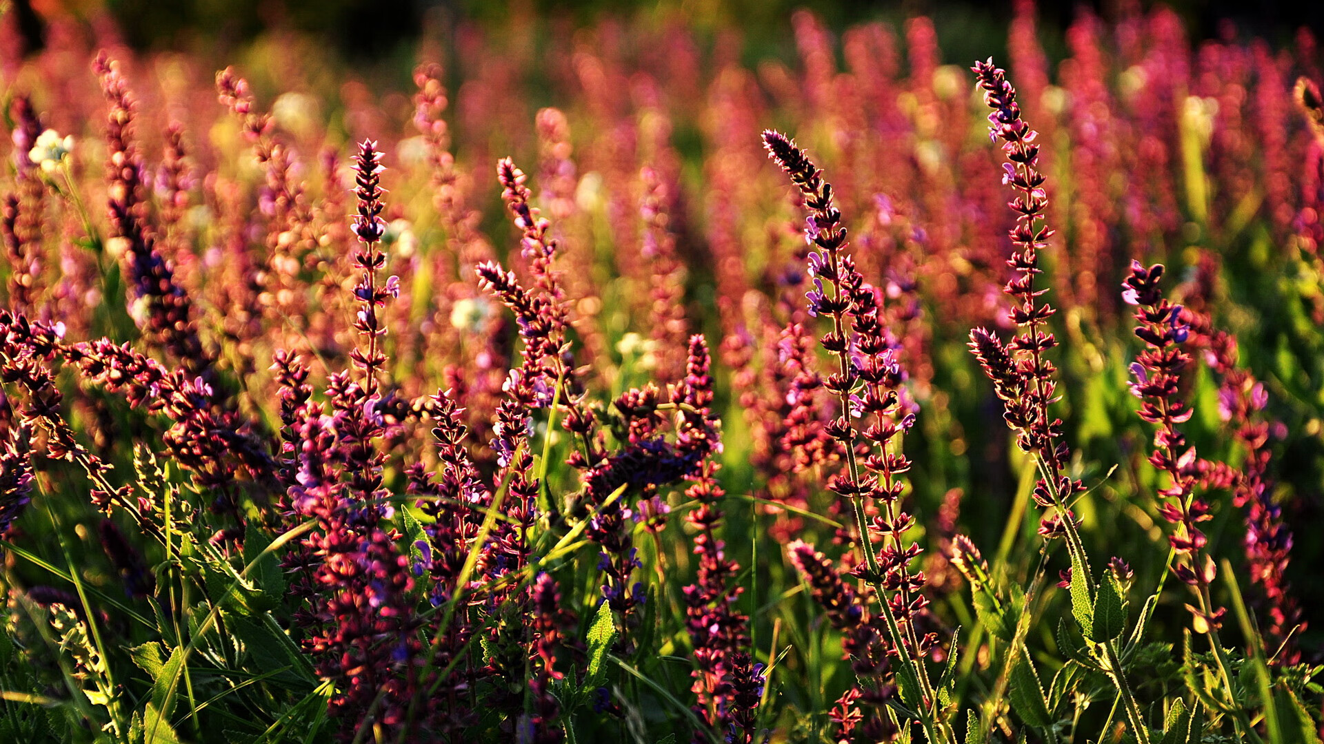 中超比赛节奏进一步加快,中超比赛节奏进一步加快的球员