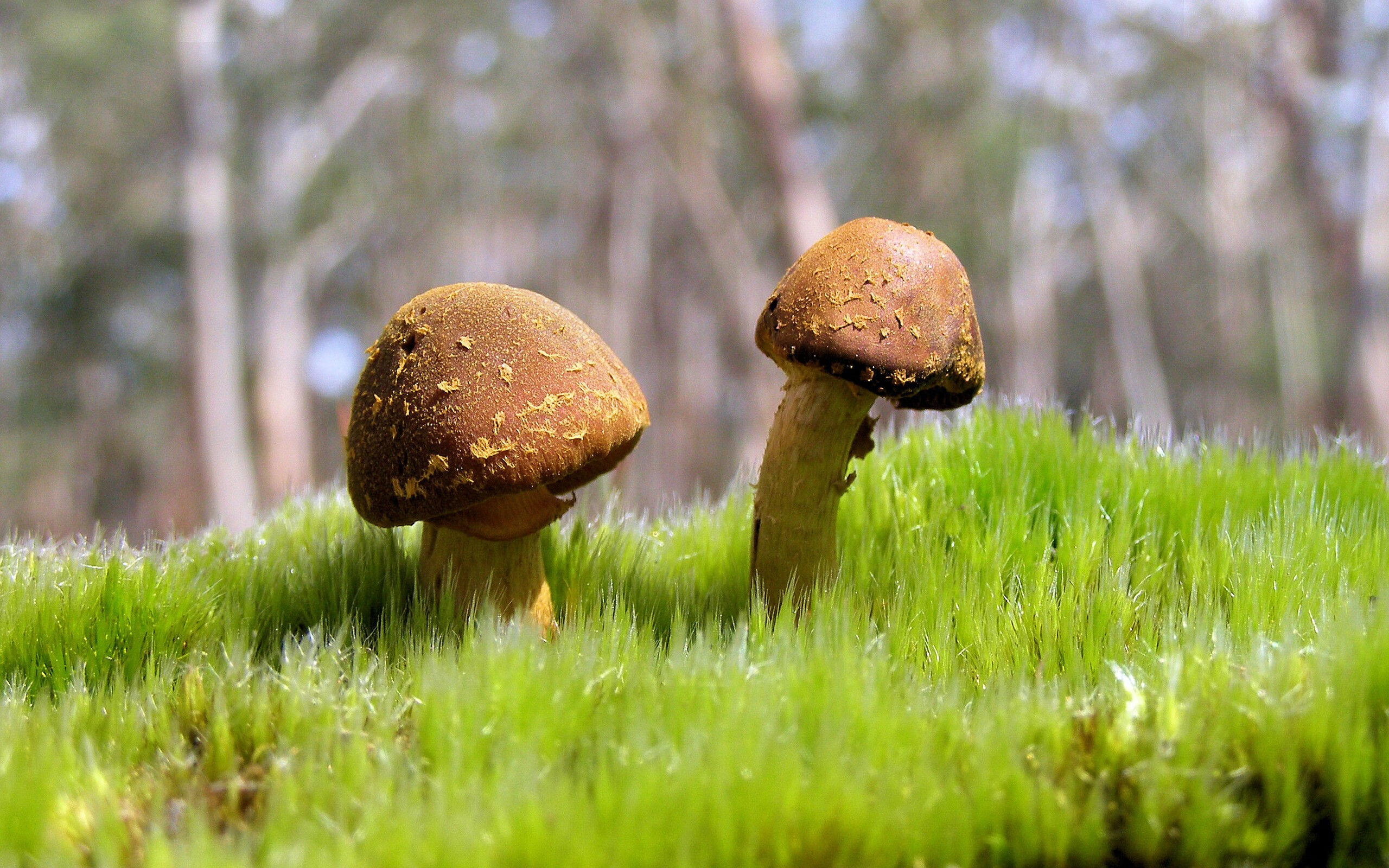 体育赛事精彩迷人,观众心情高涨,体育赛事集锦