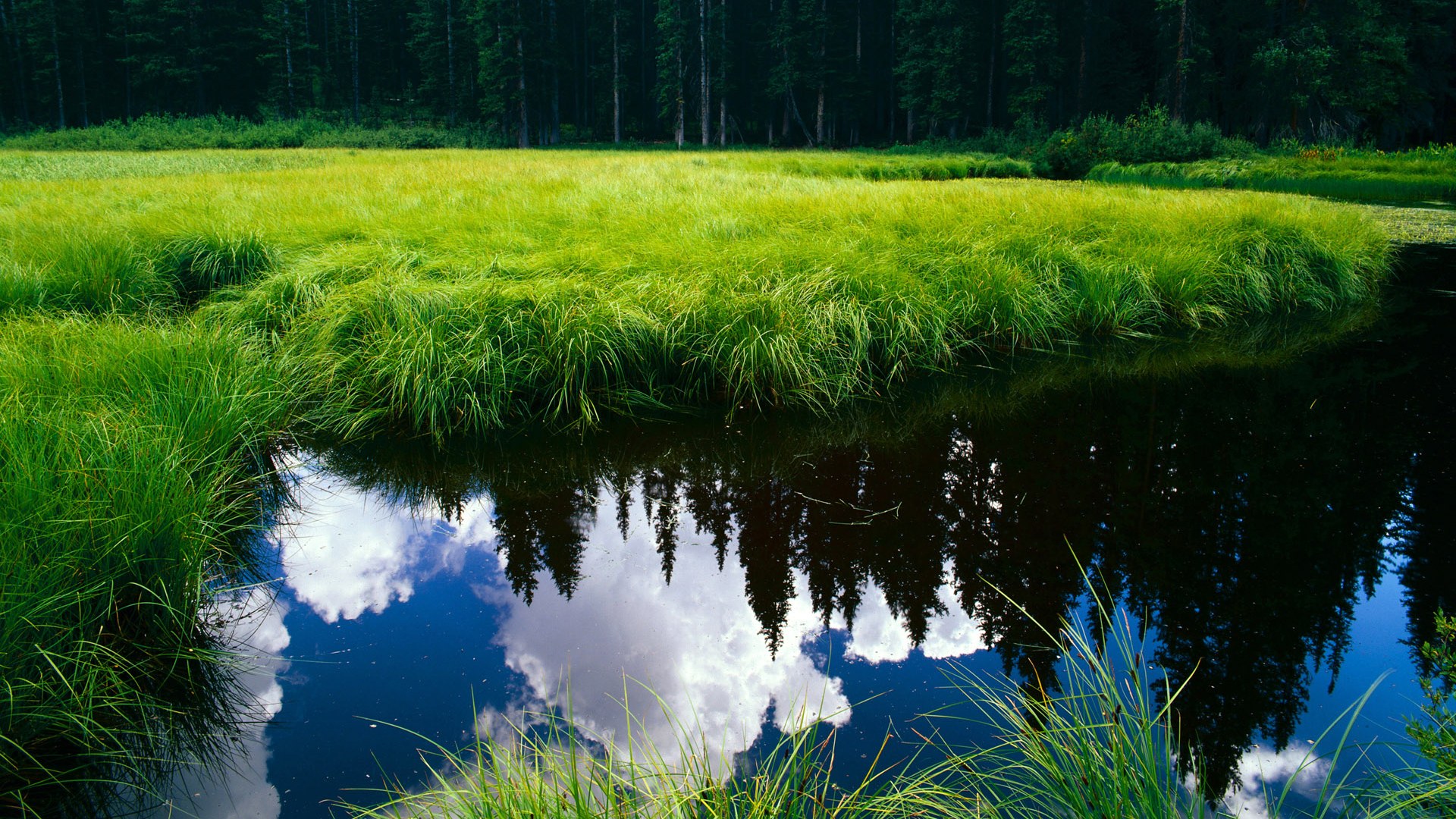 巴黎圣日耳曼前锋刷爆纪录,攻势如破竹令对手绝望,巴黎圣日耳曼队史最强阵容