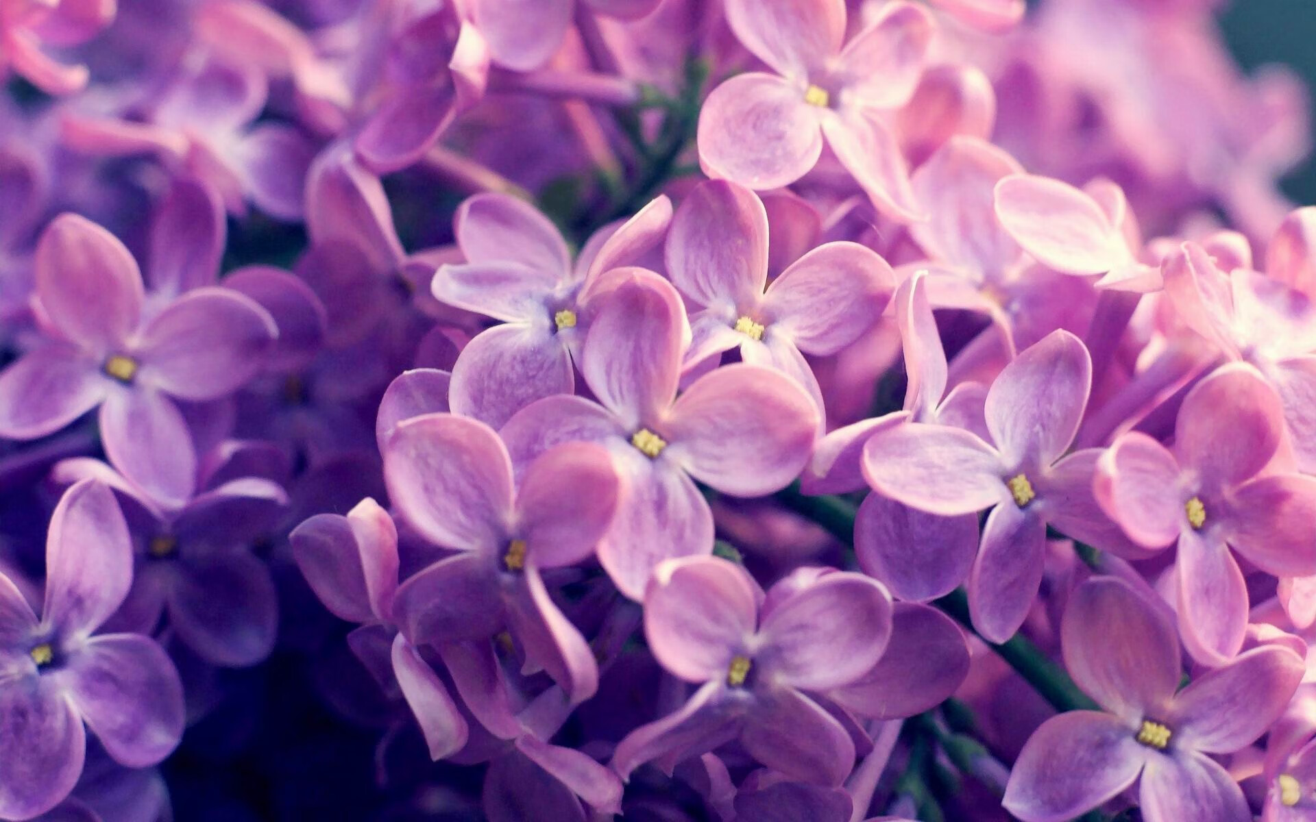 开云体育首页-江苏龙球队战术执行细节不断优化，江苏足球龙洋