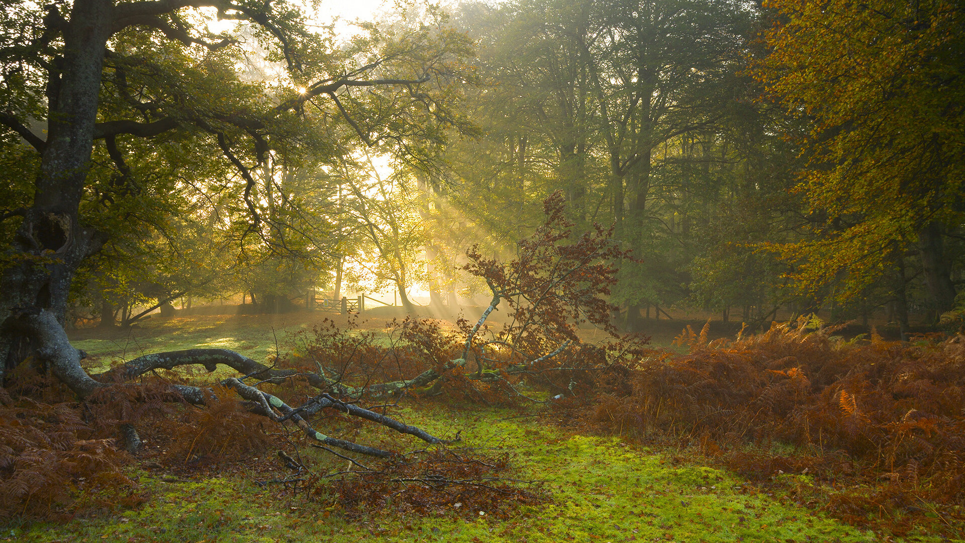 江苏龙球队战术执行细节不断优化,江苏足球龙洋