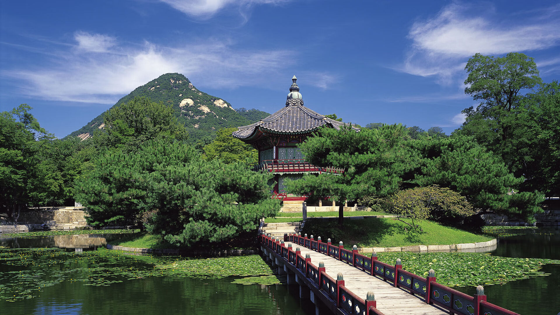 韩国星际争霸赛事转播质量提升,韩国星际争霸第一人