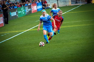 开云体育保障-中国篮球职业联赛俱乐部财务风险管理，篮球俱乐部财务制度