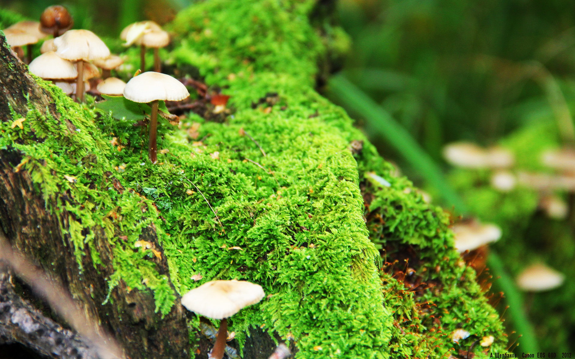 切尔西高效控球与快速反击成制胜法宝,切尔西防守怎么这么强