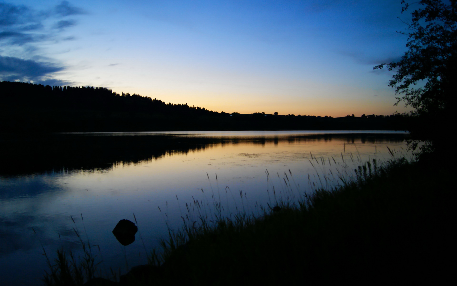 女子仰泳表现稳定,后程冲刺亮眼,女子仰泳的世界纪录