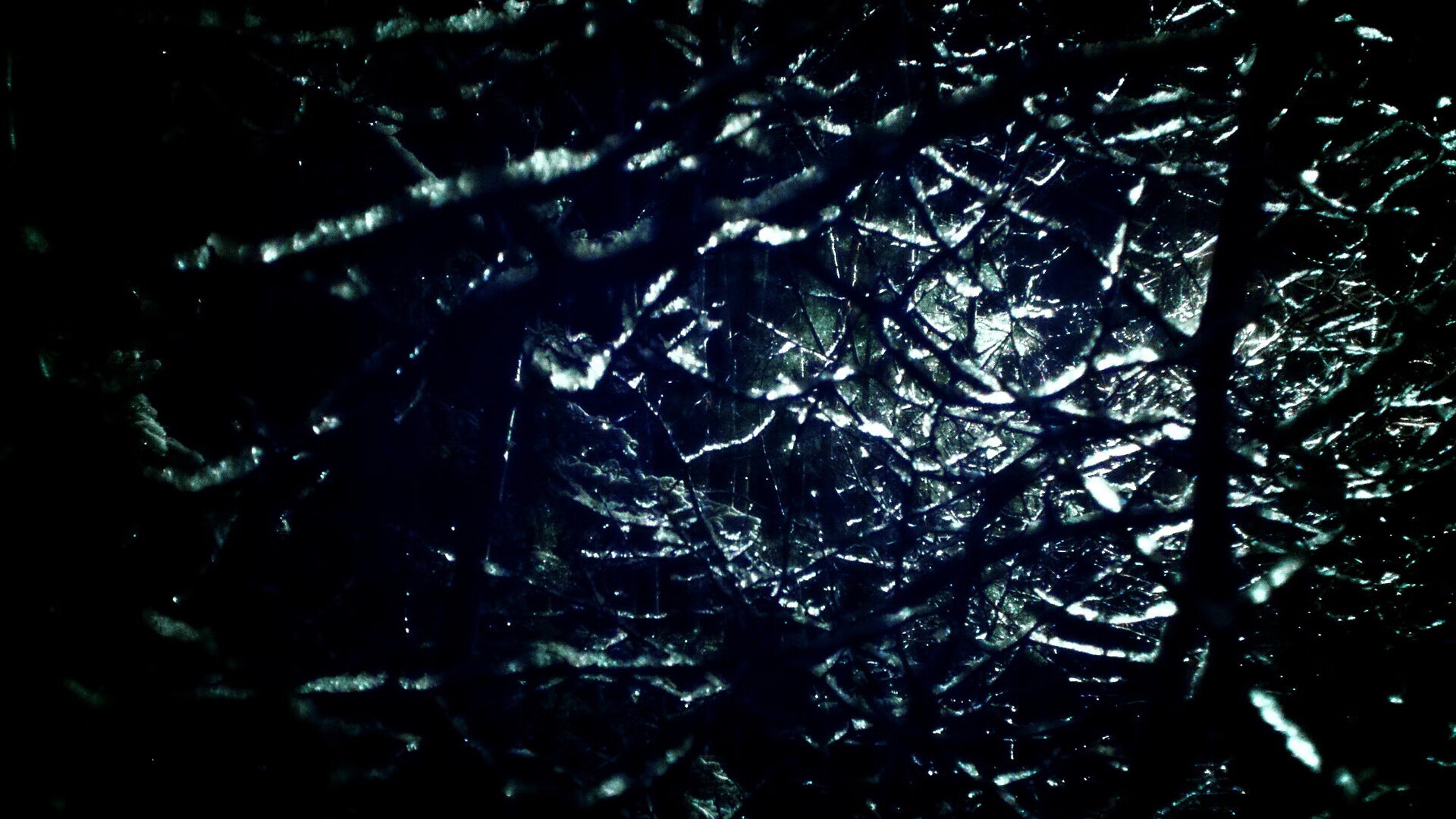 搏击赛场新星异军突起表现抢眼,最新搏击视频比赛