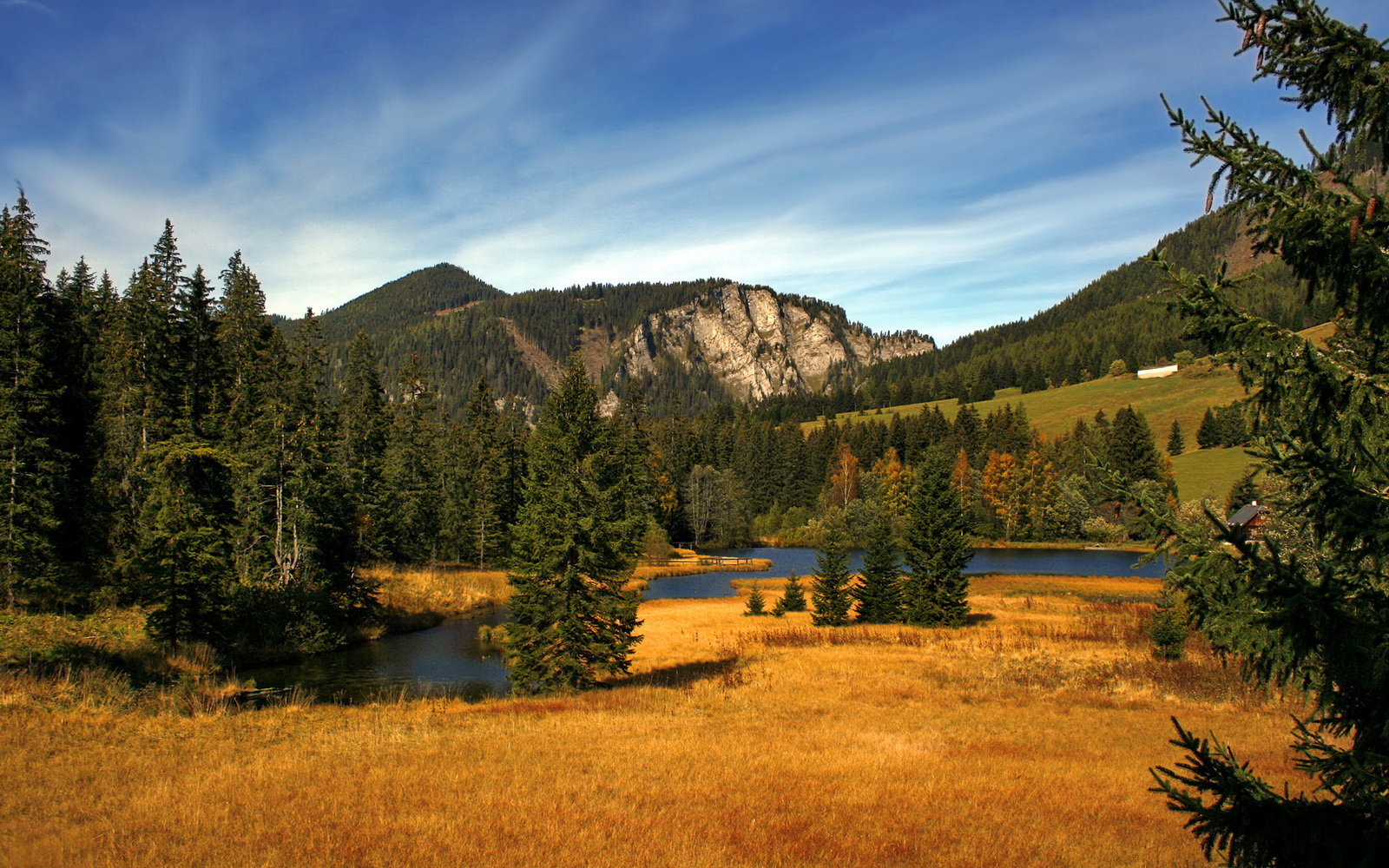 开云体育手机版-直播技术升级提升观赛互动体验，直播技能大赛技巧