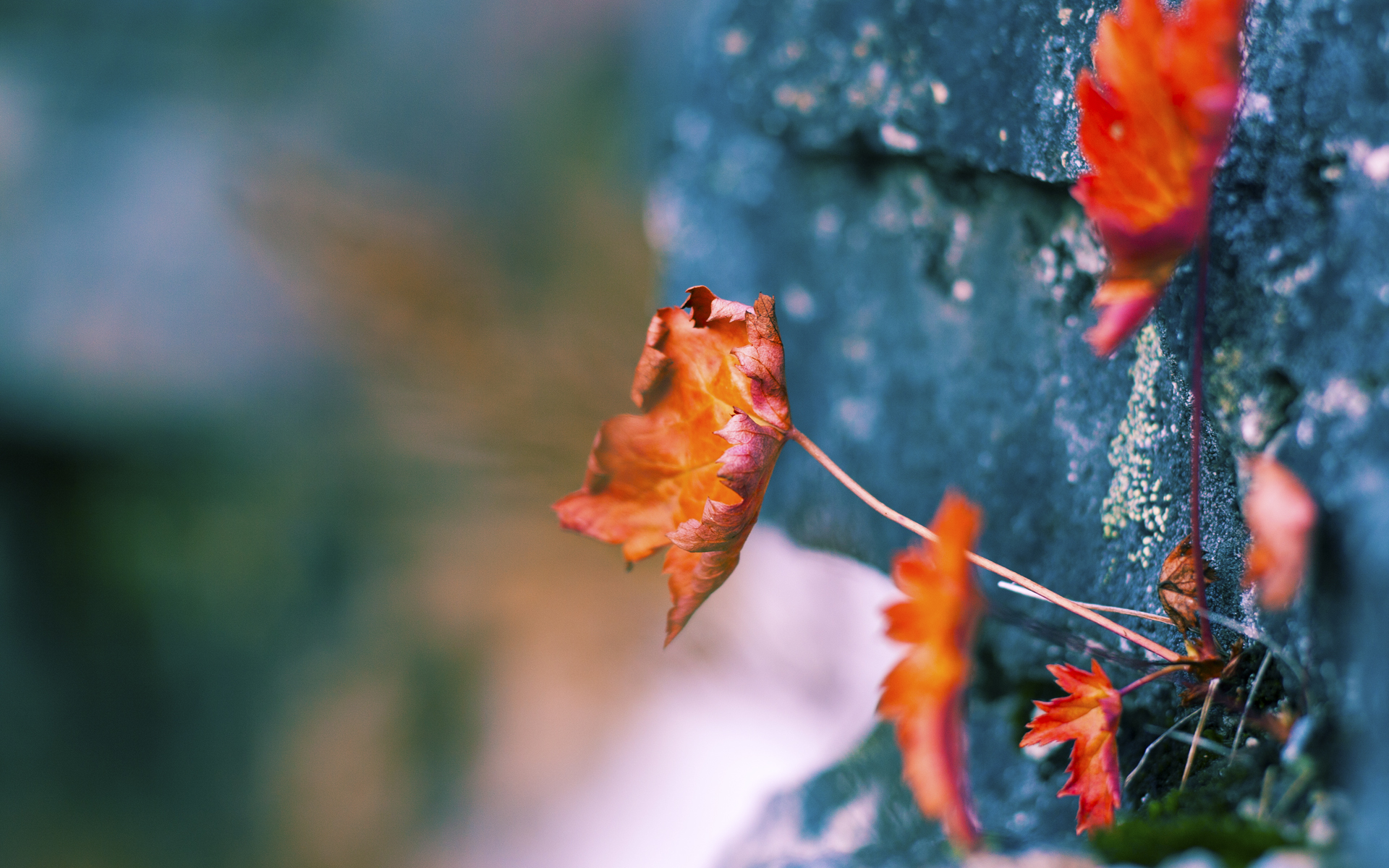 开云娱乐-欧洲杯决战一触即发：战术变化引领潮流！，欧洲杯决策
